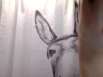 misseeva's chat room