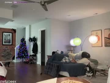 xstellabeex's chat room