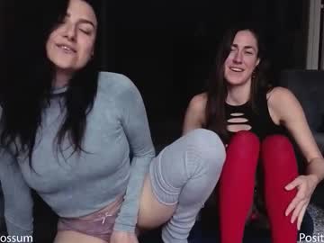 levity_opossum's chat room