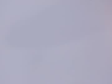 bush_woman's chat room